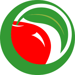 Logo de SEIS, cliente de Querétaro Web